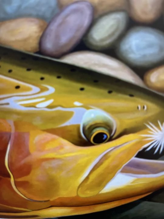 "A Tranquil Angling Adventure: Carp, Trout, and Shimmering Wonders in